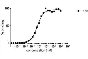 ELISA analysis of human HDAC6 by mouse monoclonal antibody 178. (HDAC6 antibody)
