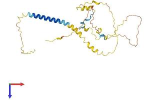 AlphaFold protein structure predicition of Human Recombinant BEAN1 Protein, UniprotID Q3B7T3 (BEAN1 Protein (AA 1-259) (His tag))