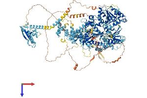 AlphaFold protein structure predicition of Human Recombinant DHX29 Protein, UniprotID Q7Z478 (DHX29 Protein (AA 1-1369) (His tag))
