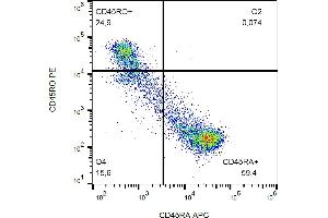 Flow cytometry analysis (surface staining) of CD45R0 in human peripheral blood with anti-CD45R0 (UCHL1) PE. (CCL20 antibody  (PE))