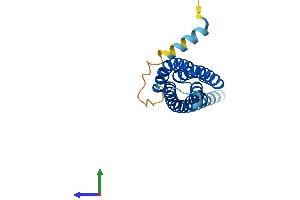 AlphaFold protein structure predicition of Human Recombinant TMEM17 Protein, UniprotID Q86X19