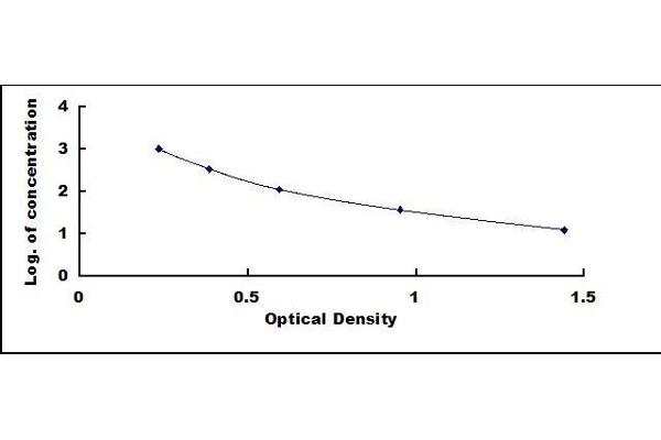 Oxytocin ELISA Kit