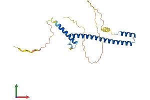 AlphaFold protein structure predicition of Human Recombinant HES6 Protein, UniprotID Q96HZ4