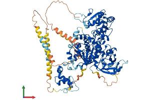 AlphaFold protein structure predicition of Human Recombinant MGAT5B Protein, UniprotID Q3V5L5