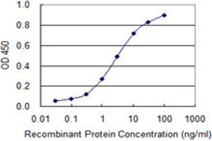 Detection limit for recombinant GST tagged SNAPC4 is 0. (SNAPC4 antibody  (AA 53-162))