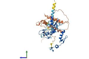 Protein Structure (PS) image for Zinc Finger Protein 793 (ZNF793) (AA 1-406) protein (His tag) (ABIN7545499)