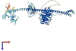TRIM2 Protein (AA 1-744) (His tag)