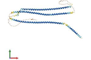 AlphaFold protein structure predicition of Mouse Recombinant Ccdc77 Protein, UniprotID Q9CZH8 (CCDC77 Protein (AA 1-489) (His tag))
