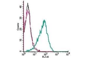 Cell surface detection of ADCY3 by indirect flow cytometry in live intact human MEG-01 megakaryocytic leukemia cells:  (black line) Cells. (ADCY3 antibody  (3rd Extracellular Loop))