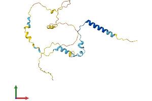 Protein Structure (PS) image for Intraflagellar Transport 43 Homolog (IFT43) (AA 1-206) protein (His tag) (ABIN7561209)