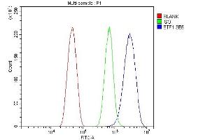 Flow Cytometry analysis of HEPA1-6 cells using anti-eRF1/ETF1 antibody (ABIN7602626). (ETF1 antibody  (AA 9-342))
