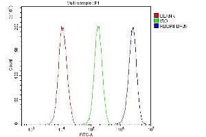 Flow Cytometry analysis of 293T cells using anti-RbAp48 antibody (ABIN3043920). (Retinoblastoma Binding Protein 4 antibody  (C-Term))