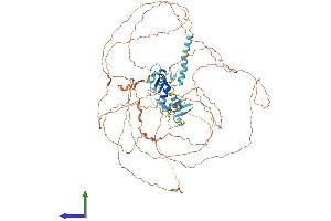 AlphaFold protein structure predicition of Mouse Recombinant Champ1 Protein, UniprotID Q8K327 (ZNF828 Protein (AA 1-802) (His tag))