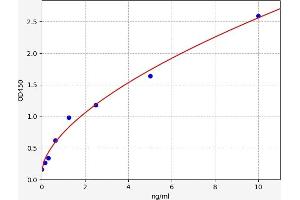 NDNF ELISA Kit