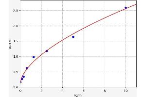 Typical standard curve (NDNF ELISA Kit)