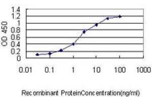 Detection limit for recombinant GST tagged AR is approximately 0. (Androgen Receptor antibody  (AA 221-320))