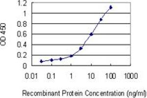 Detection limit for recombinant GST tagged STX8 is 0. (STX8 antibody  (AA 1-236))