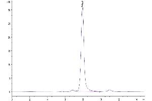 The purity of Human DLL1/Delta1 is greater than 95 % as determined by SEC-HPLC.