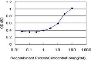 Detection limit for recombinant GST tagged SLC26A5 is approximately 1ng/ml as a capture antibody. (SLC26A5 antibody  (AA 645-742))