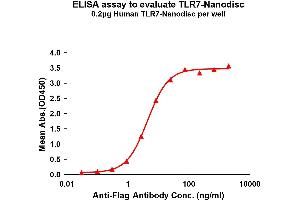 ELISA image for Toll-Like Receptor 7 (TLR7) protein (ABIN7538554)
