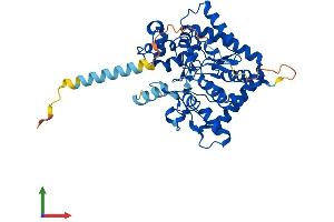 AlphaFold protein structure predicition of Human Recombinant GAL3ST1 Protein, UniprotID Q99999 (GAL3ST1 Protein (AA 1-423) (His tag))