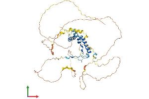 AlphaFold protein structure predicition of Mouse Recombinant Sox8 Protein, UniprotID Q04886 (SOX8 Protein (AA 1-464) (His tag))