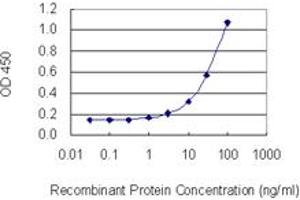 Detection limit for recombinant GST tagged DTNBP1 is 1 ng/ml as a capture antibody. (DTNBP1 antibody  (AA 1-100))