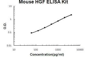 Mouse HGF PicoKine ELISA Kit standard curve (HGF ELISA Kit)