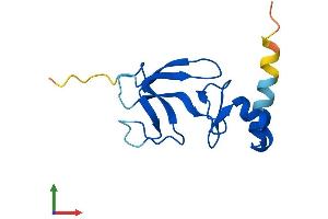 AlphaFold protein structure predicition of Mouse Recombinant Cdpf1 Protein, UniprotID Q8R3A2 (CDPF1 Protein (AA 1-119) (His tag))