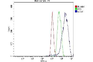anti-ECSIT (ECSIT) (AA 83-339) antibody