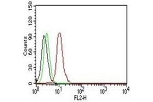 Flow Cytometry testing of Jurkat cells. (Cyclin D1 antibody)