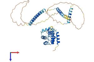 CEP44 Protein (AA 1-386) (His tag)