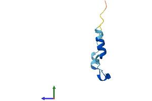 Protein Structure (PS) image for Thymosin beta-4 (TMSB4X) (AA 1-50) protein (Fc Tag) (ABIN7562944)