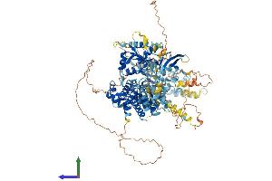Protein Structure (PS) image for DNA Helicase B (HELB) (AA 1-1074) protein (His tag) (ABIN7564057)