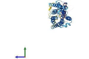 AlphaFold protein structure predicition of Mouse Recombinant Mrgprf Protein, UniprotID Q8VCJ6 (Mrgprf Protein (AA 1-343) (His tag))