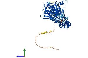 AlphaFold protein structure predicition of Human Recombinant BTBD1 Protein, UniprotID Q9H0C5 (BTBD1 Protein (AA 1-482) (His tag))
