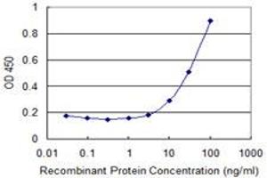 Detection limit for recombinant GST tagged COLEC10 is 3 ng/ml as a capture antibody. (COLEC10 antibody  (AA 121-229))