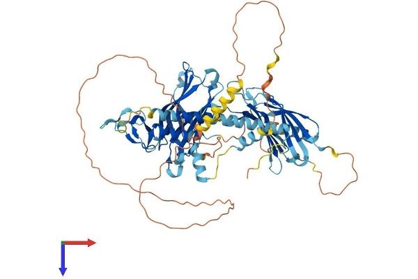 SYTL3 Protein (AA 1-610) (His tag)