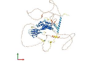 Protein Structure (PS) image for Nibrin (NBN) (AA 1-754) protein (His tag) (ABIN7554690)