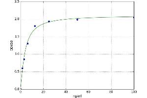 A typical standard curve
