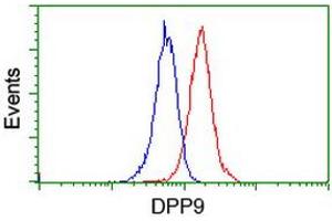 Flow cytometric Analysis of Jurkat cells, using anti-DPP9 antibody (ABIN2455319), (Red), compared to a nonspecific negative control antibody, (Blue). (DPP9 antibody)