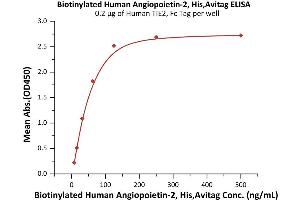 Immobilized Human TIE2, Fc Tag (ABIN6992355) at 2 μg/mL (100 μL/well) can bind Biotinylated Human Angiopoietin-2, His,Avitag (ABIN6972942) with a linear range of 7. (Angiopoietin 2 Protein (ANGPT2) (AA 275-496) (His tag,AVI tag,Biotin))