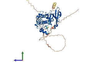 AlphaFold protein structure predicition of Mouse Recombinant Aurka Protein, UniprotID P97477