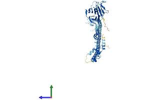 AlphaFold protein structure predicition of Mouse Recombinant Trim10 Protein, UniprotID Q9WUH5