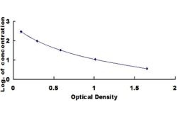 Endomorphin 2 ELISA Kit