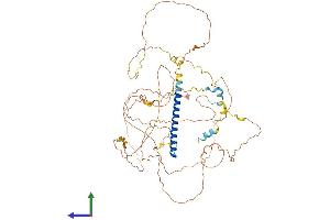 Protein Structure (PS) image for CREB Regulated Transcription Coactivator 3 (CRTC3) (AA 1-619) protein (His tag) (ABIN7564809)