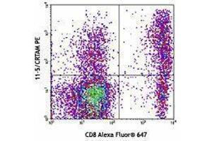 Flow Cytometry (FACS) image for anti-Cytotoxic and Regulatory T Cell Molecule (CRTAM) antibody (PE) (ABIN2662609) (CRTAM antibody  (PE))