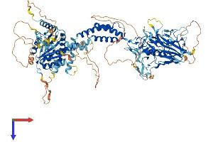 AlphaFold protein structure predicition of Human Recombinant SMG8 Protein, UniprotID Q8ND04 (SMG8 Protein (AA 1-991) (His tag))