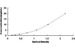 Typical standard curve (Meprin B ELISA Kit)