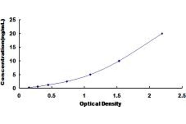 Meprin B ELISA Kit